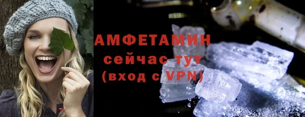 сатива Новозыбков
