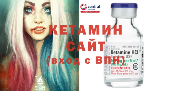 сатива Новозыбков