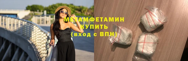сатива Новозыбков