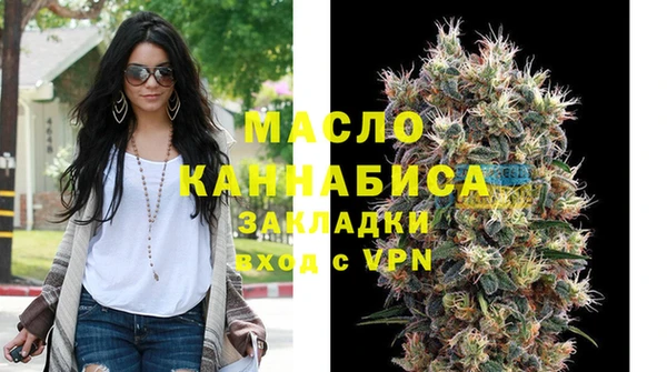 сатива Новозыбков