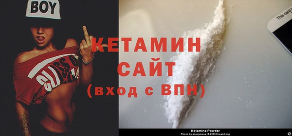 сатива Новозыбков