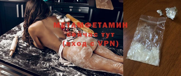 сатива Новозыбков