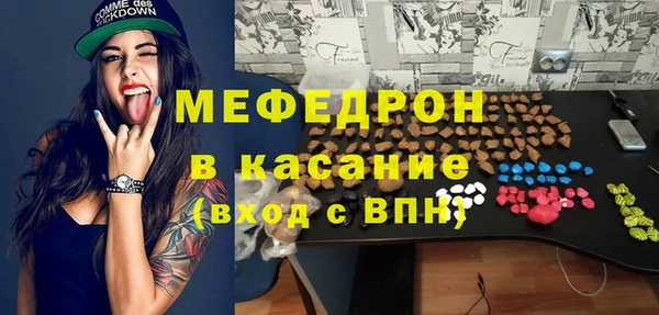 сатива Новозыбков