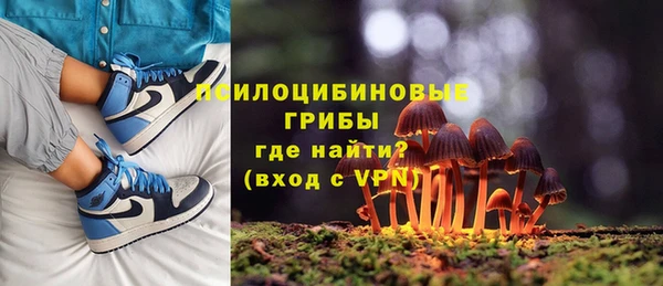 прущие крисы Новокубанск