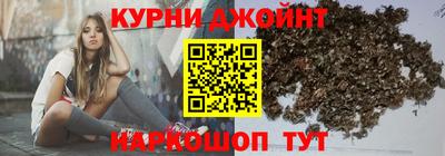 шишки Гай