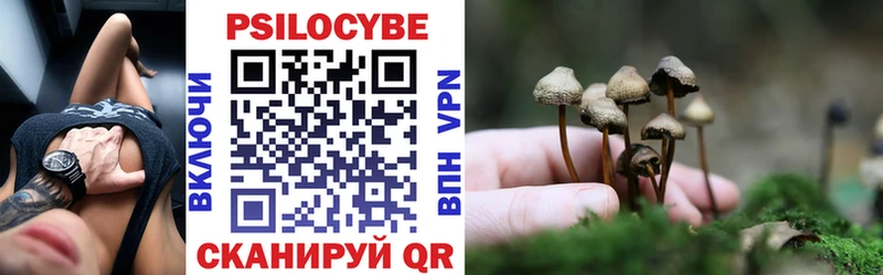 Галлюциногенные грибы Cubensis  Ипатово 