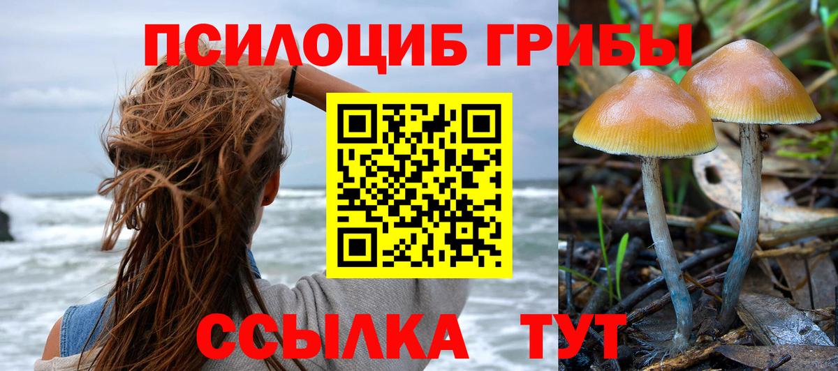 Псилоцибиновые грибы Cubensis  наркота  Ипатово  Галлюциногенные грибы GOLDEN TEACHER 